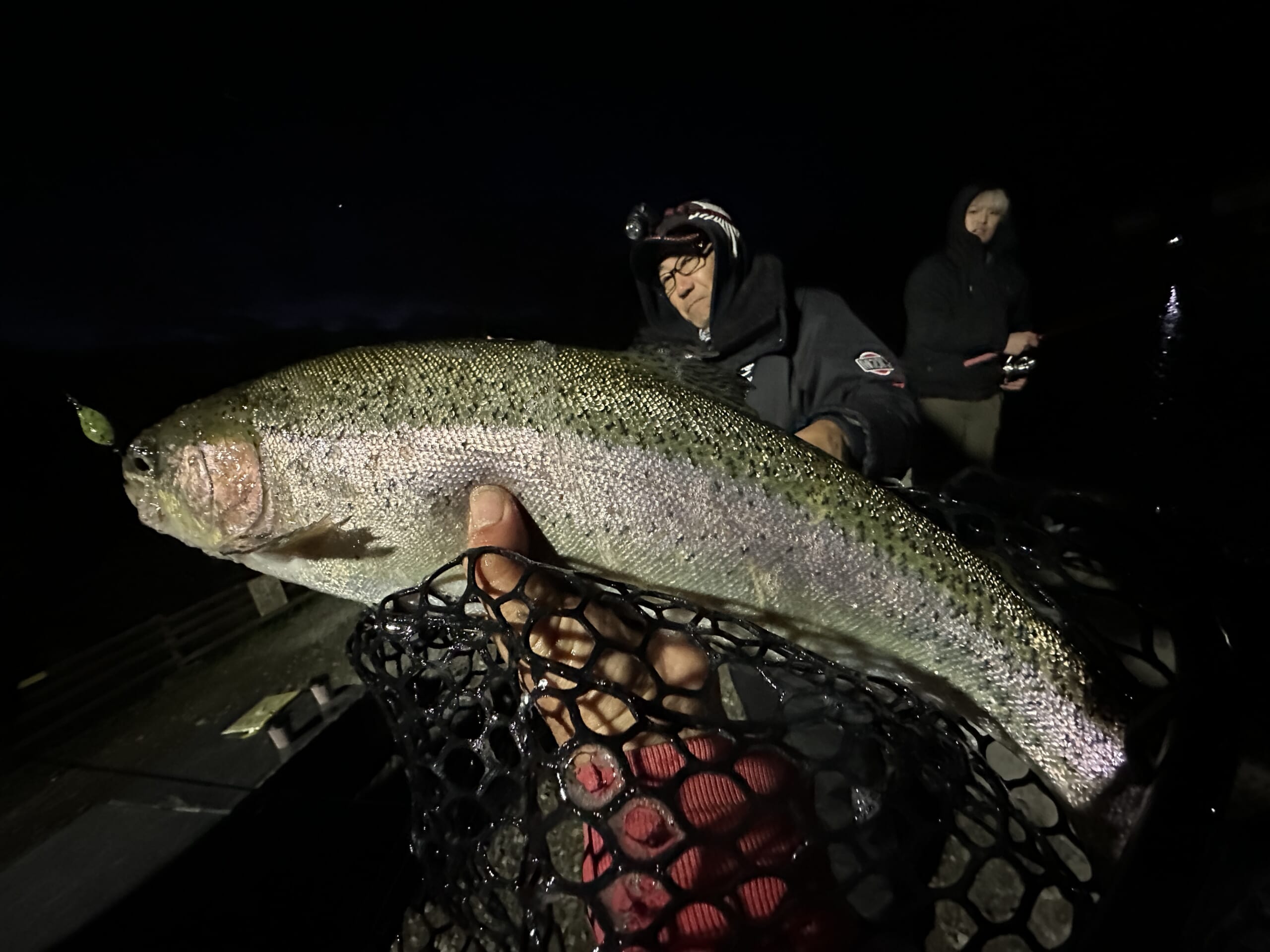 ナイターの釣果