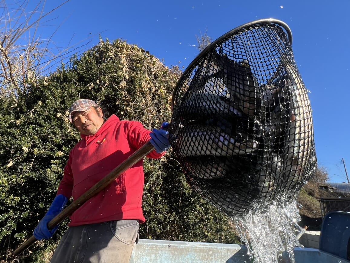 宮城アングラーズヴィレッジ トラウト放流